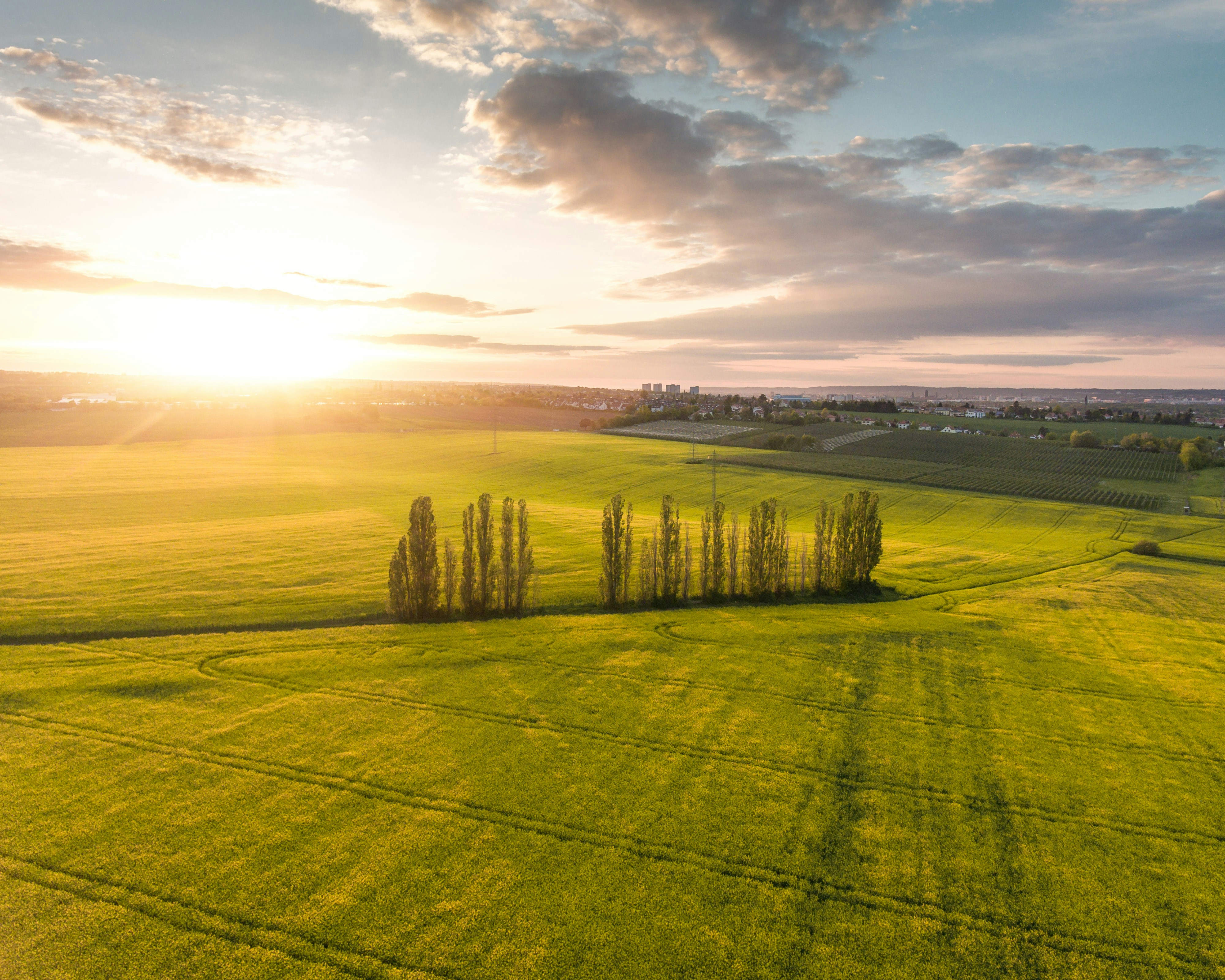 Beautiful open grass land